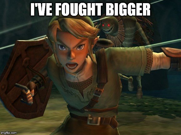 Link Legend of Zelda Yelling | I'VE FOUGHT BIGGER | image tagged in link legend of zelda yelling | made w/ Imgflip meme maker