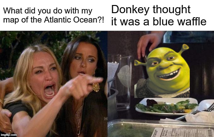 Woman Yelling At Cat Meme | What did you do with my map of the Atlantic Ocean?! Donkey thought it was a blue waffle | image tagged in memes,woman yelling at cat | made w/ Imgflip meme maker