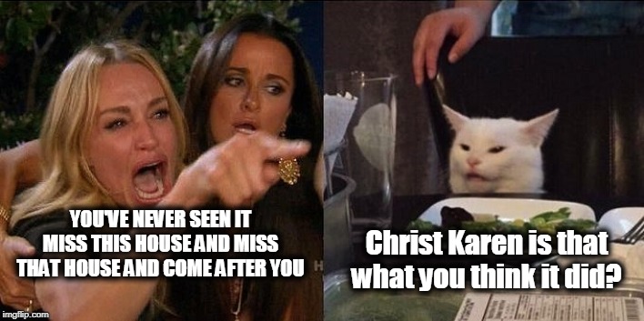 YOU'VE NEVER SEEN IT MISS THIS HOUSE AND MISS THAT HOUSE AND COME AFTER YOU; Christ Karen is that what you think it did? | image tagged in twister,woman yelling at cat,movie quotes | made w/ Imgflip meme maker