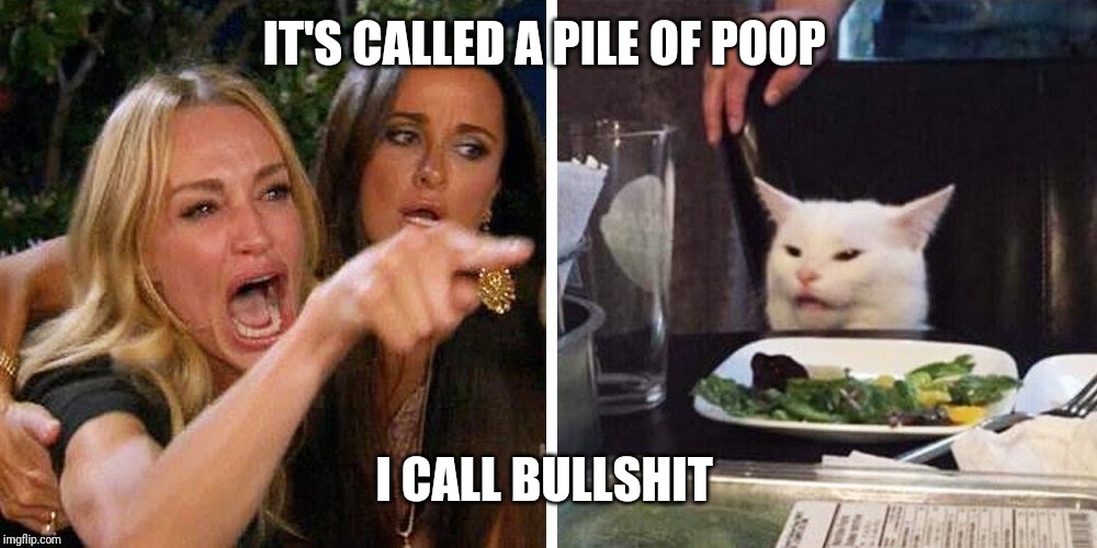Smudge the cat |  IT'S CALLED A PILE OF POOP; I CALL BULLSHIT | image tagged in smudge the cat | made w/ Imgflip meme maker