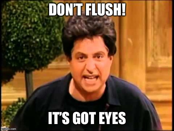 I just wanna be loved is that so wrong? | DON’T FLUSH! IT’S GOT EYES | image tagged in i just wanna be loved is that so wrong | made w/ Imgflip meme maker