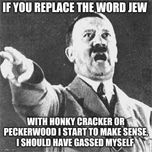 Hitler | IF YOU REPLACE THE WORD JEW WITH HONKY CRACKER OR PECKERWOOD I START TO MAKE SENSE, I SHOULD HAVE GASSED MYSELF | image tagged in hitler | made w/ Imgflip meme maker