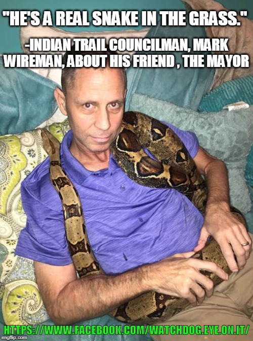 Snake in the grass | "HE'S A REAL SNAKE IN THE GRASS."; -INDIAN TRAIL COUNCILMAN, MARK WIREMAN, ABOUT HIS FRIEND , THE MAYOR; HTTPS://WWW.FACEBOOK.COM/WATCHDOG.EYE.ON.IT/ | image tagged in snake in the grass | made w/ Imgflip meme maker