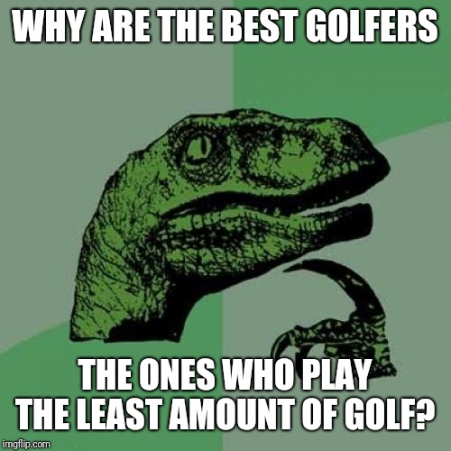 Philosoraptor | WHY ARE THE BEST GOLFERS; THE ONES WHO PLAY THE LEAST AMOUNT OF GOLF? | image tagged in memes,philosoraptor | made w/ Imgflip meme maker