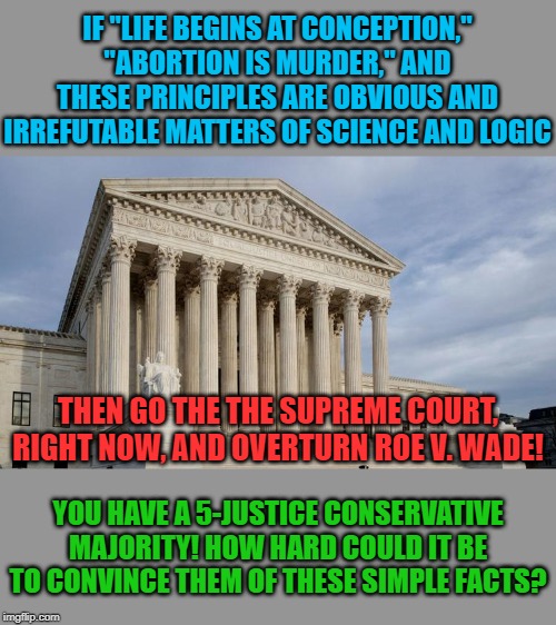 Stop debating with dumb liberals like me: get into the courtroom with those knock-out arguments! | IF "LIFE BEGINS AT CONCEPTION," "ABORTION IS MURDER," AND THESE PRINCIPLES ARE OBVIOUS AND IRREFUTABLE MATTERS OF SCIENCE AND LOGIC; THEN GO THE THE SUPREME COURT, RIGHT NOW, AND OVERTURN ROE V. WADE! YOU HAVE A 5-JUSTICE CONSERVATIVE MAJORITY! HOW HARD COULD IT BE TO CONVINCE THEM OF THESE SIMPLE FACTS? | image tagged in supreme court,abortion,pro-choice,pro-life,conservative,science | made w/ Imgflip meme maker