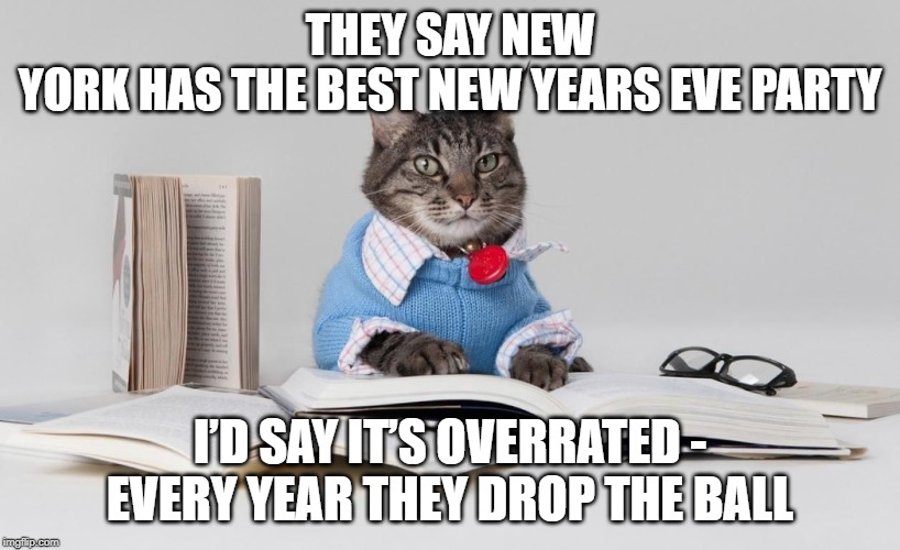 happy new years | THEY SAY NEW YORK HAS THE BEST NEW YEARS EVE PARTY; I’D SAY IT’S OVERRATED - EVERY YEAR THEY DROP THE BALL | image tagged in smart cat,new years,pun | made w/ Imgflip meme maker