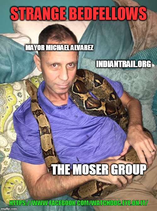 Snake in the grass | STRANGE BEDFELLOWS; MAYOR MICHAEL ALVAREZ; INDIANTRAIL.ORG; THE MOSER GROUP; HTTPS://WWW.FACEBOOK.COM/WATCHDOG.EYE.ON.IT/ | image tagged in snake in the grass | made w/ Imgflip meme maker