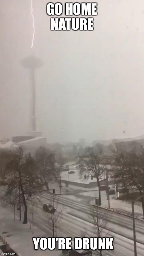 A lighting storm during a snow storm as night is falling. Kinda eerie actually | GO HOME NATURE; YOU’RE DRUNK | image tagged in mother nature,thunder snow | made w/ Imgflip meme maker