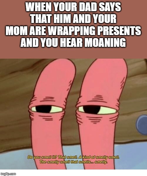 I don't even know anymore... | WHEN YOUR DAD SAYS THAT HIM AND YOUR MOM ARE WRAPPING PRESENTS AND YOU HEAR MOANING | image tagged in dirty mind,memes | made w/ Imgflip meme maker
