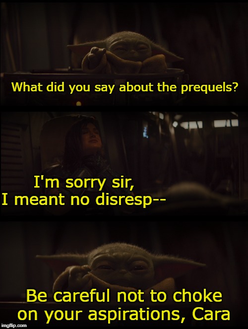 There a baby yoda in all of us | What did you say about the prequels? I'm sorry sir, I meant no disresp--; Be careful not to choke on your aspirations, Cara | image tagged in baby yoda,star wars,star wars prequels,darth vader | made w/ Imgflip meme maker