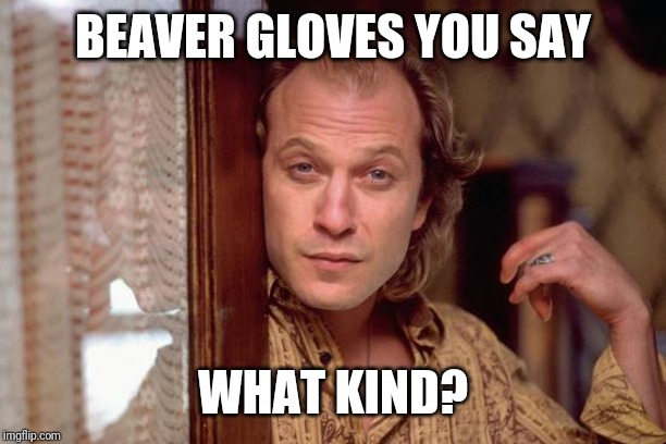 BEAVER GLOVES YOU SAY; WHAT KIND? | made w/ Imgflip meme maker