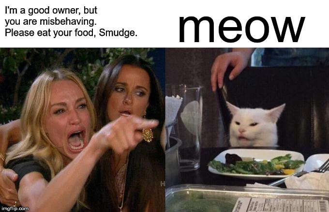 Woman Yelling At Cat | I'm a good owner, but you are misbehaving. Please eat your food, Smudge. meow | image tagged in memes,woman yelling at cat | made w/ Imgflip meme maker