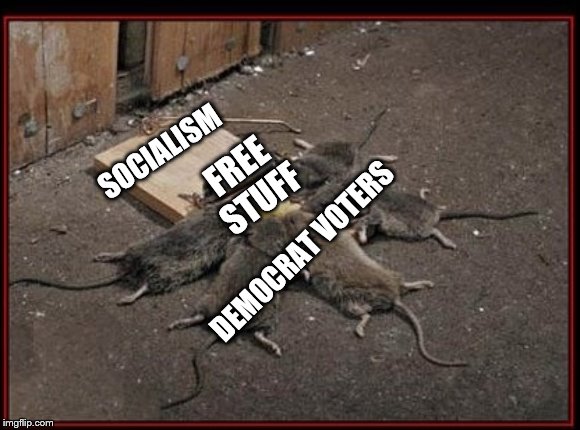 SOCIALISM | SOCIALISM; FREE STUFF; DEMOCRAT VOTERS | image tagged in democrats | made w/ Imgflip meme maker