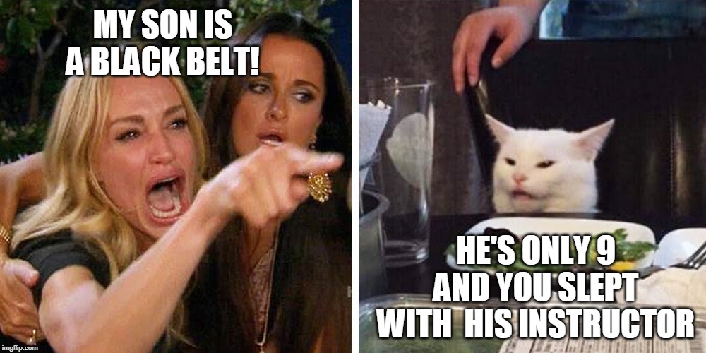 Smudge the cat | MY SON IS A BLACK BELT! HE'S ONLY 9 AND YOU SLEPT WITH  HIS INSTRUCTOR | image tagged in smudge the cat | made w/ Imgflip meme maker