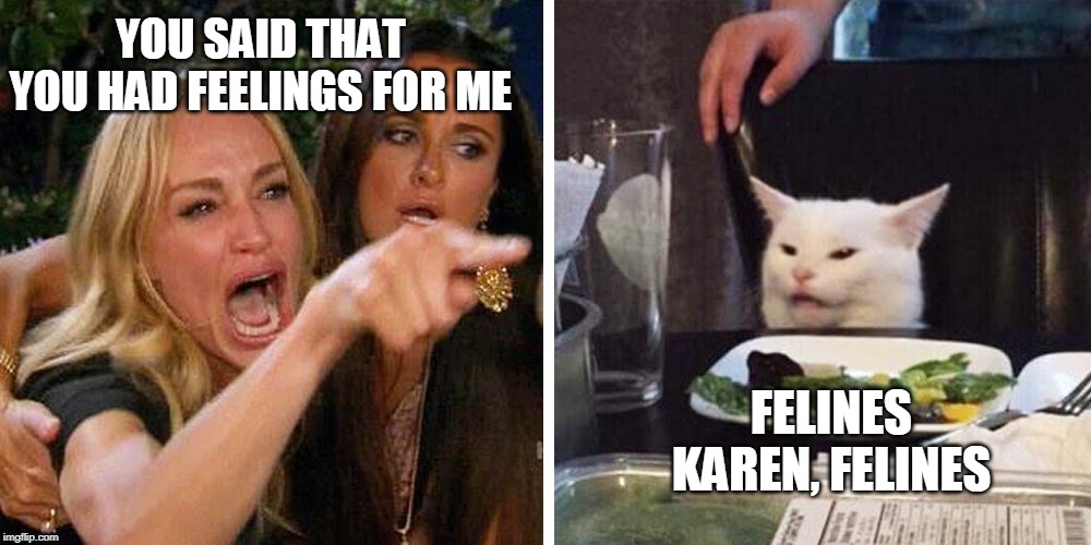 Smudge the cat | YOU SAID THAT YOU HAD FEELINGS FOR ME; FELINES KAREN, FELINES | image tagged in smudge the cat | made w/ Imgflip meme maker