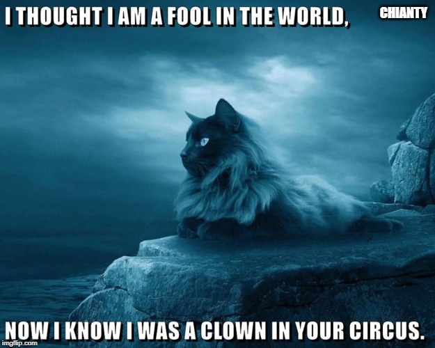 Fool | CHIANTY | image tagged in wrong | made w/ Imgflip meme maker