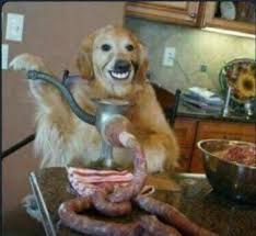 Cute Dog Gets Caught In Meat Grinder 