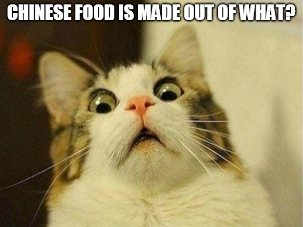 Scared Cat | CHINESE FOOD IS MADE OUT OF WHAT? | image tagged in memes,scared cat | made w/ Imgflip meme maker