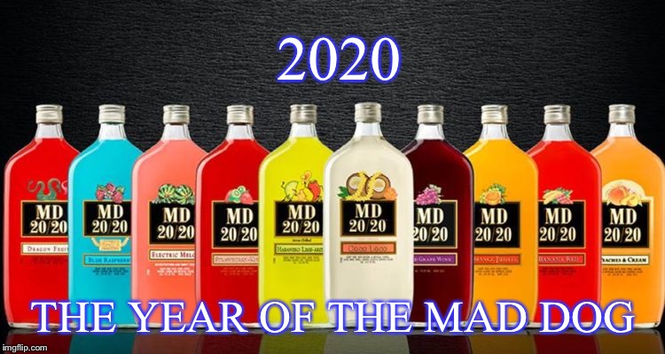 2020 | 2020; THE YEAR OF THE MAD DOG | image tagged in 2020,new year,happy new years | made w/ Imgflip meme maker