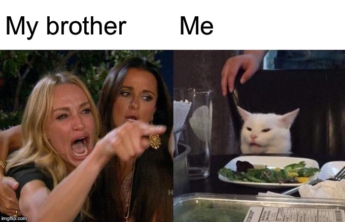 Woman Yelling At Cat | My brother; Me | image tagged in memes,woman yelling at cat | made w/ Imgflip meme maker