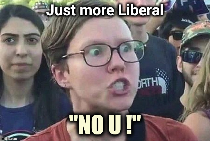 Triggered Liberal | Just more Liberal "NO U !" | image tagged in triggered liberal | made w/ Imgflip meme maker