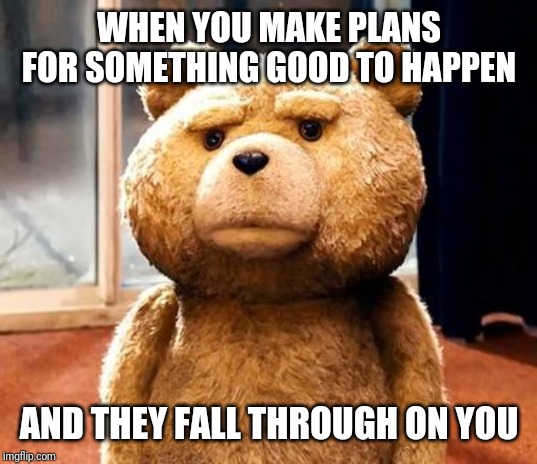 This has happened to me before | WHEN YOU MAKE PLANS FOR SOMETHING GOOD TO HAPPEN; AND THEY FALL THROUGH ON YOU | image tagged in memes,ted | made w/ Imgflip meme maker