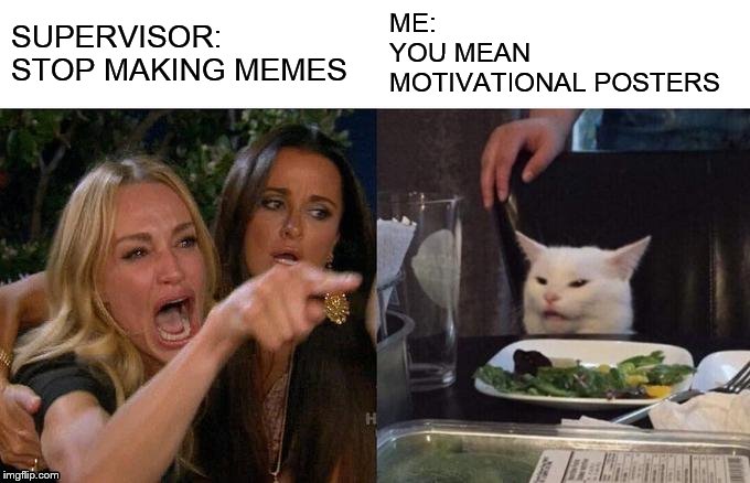 Woman Yelling At Cat Meme | SUPERVISOR: 
STOP MAKING MEMES; ME:
YOU MEAN 
MOTIVATIONAL POSTERS | image tagged in memes,woman yelling at cat | made w/ Imgflip meme maker