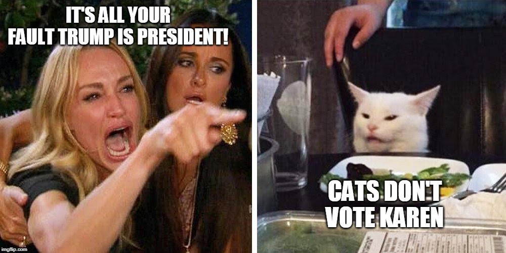 Smudge the cat | IT'S ALL YOUR FAULT TRUMP IS PRESIDENT! CATS DON'T VOTE KAREN | image tagged in smudge the cat | made w/ Imgflip meme maker