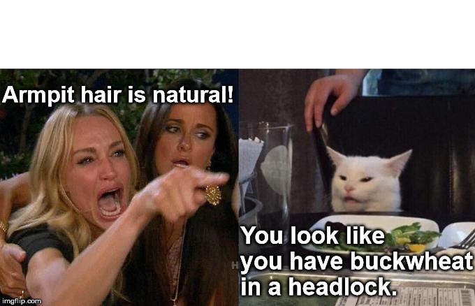 Woman Yelling At Cat Meme | Armpit hair is natural! You look like you have buckwheat in a headlock. | image tagged in memes,woman yelling at cat | made w/ Imgflip meme maker