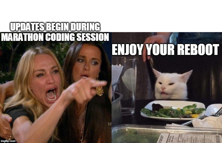 Updates Begin During Coding Session | UPDATES BEGIN DURING MARATHON CODING SESSION; ENJOY YOUR REBOOT | image tagged in cat yelling,funny memes,programming,anger | made w/ Imgflip meme maker