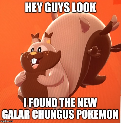 Big chungus is taking over Nintendo | HEY GUYS LOOK; I FOUND THE NEW GALAR CHUNGUS POKEMON | image tagged in pokemon | made w/ Imgflip meme maker