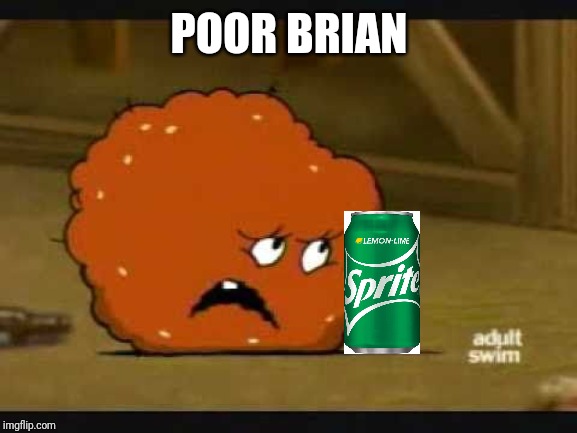 confused meatwad | POOR BRIAN | image tagged in confused meatwad | made w/ Imgflip meme maker