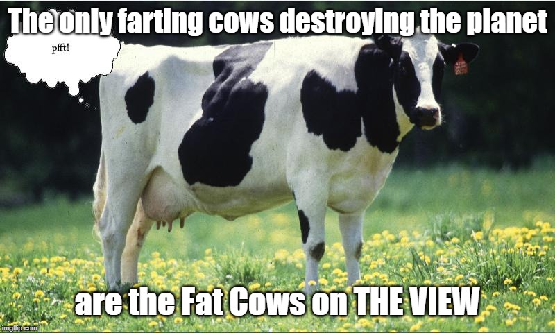 farting cows on The View | The only farting cows destroying the planet; are the Fat Cows on THE VIEW | image tagged in climate,farts,the view | made w/ Imgflip meme maker