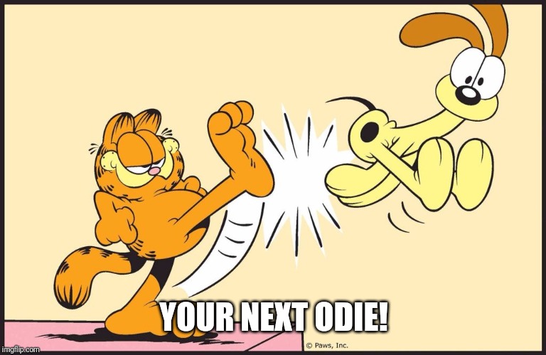 Garfield kicking odie | YOUR NEXT ODIE! | image tagged in garfield kicking odie | made w/ Imgflip meme maker