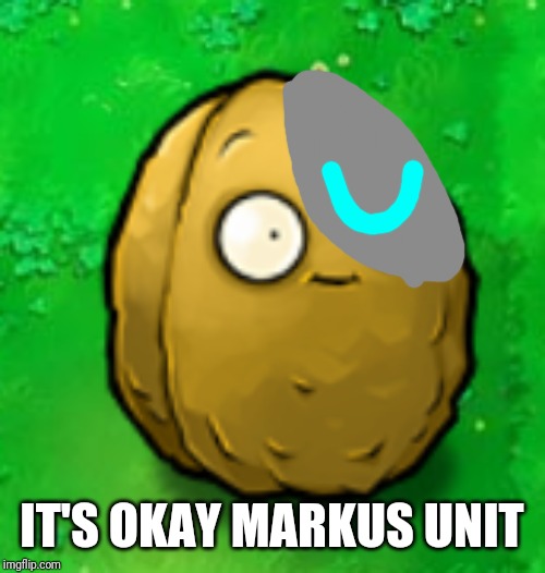 Wall-Nut | IT'S OKAY MARKUS UNIT | image tagged in wall-nut | made w/ Imgflip meme maker