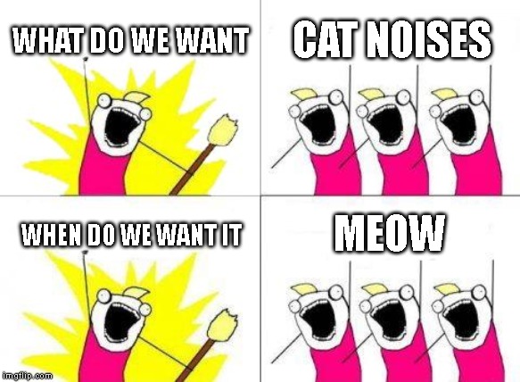 What Do We Want | WHAT DO WE WANT; CAT NOISES; MEOW; WHEN DO WE WANT IT | image tagged in what do we want,cats are awesome | made w/ Imgflip meme maker