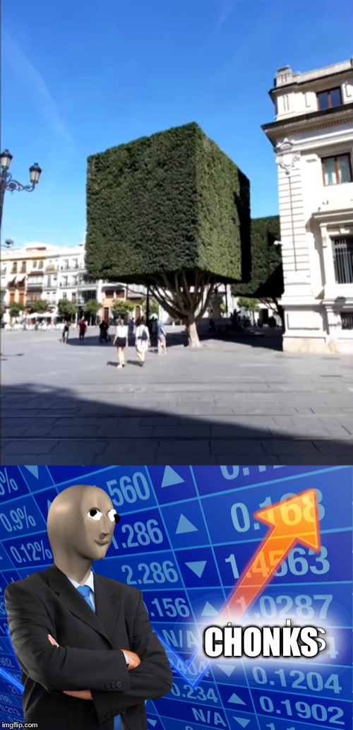 Tree exe Has Stopped Working Imgflip