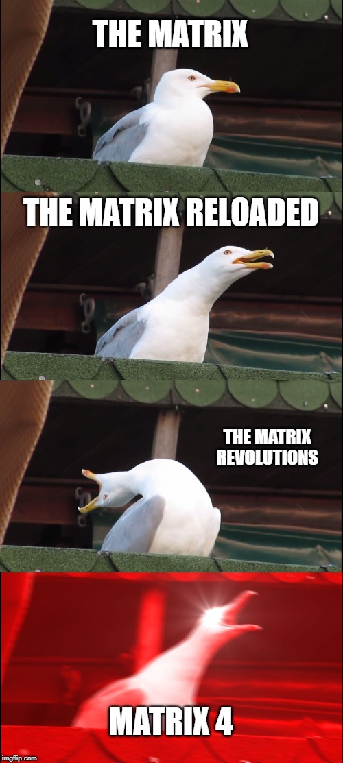 Inhaling Seagull | THE MATRIX; THE MATRIX RELOADED; THE MATRIX REVOLUTIONS; MATRIX 4 | image tagged in memes,inhaling seagull | made w/ Imgflip meme maker