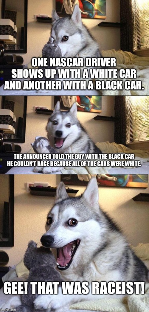 Doggie makes a bad cars joke. | ONE NASCAR DRIVER SHOWS UP WITH A WHITE CAR AND ANOTHER WITH A BLACK CAR. THE ANNOUNCER TOLD THE GUY WITH THE BLACK CAR HE COULDN’T RACE BECAUSE ALL OF THE CARS WERE WHITE. GEE! THAT WAS RACEIST! | image tagged in memes,bad pun dog,nascar,racist | made w/ Imgflip meme maker