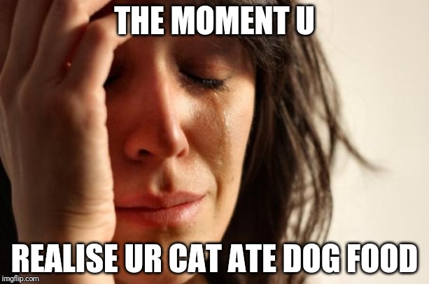 First World Problems | THE MOMENT U; REALISE UR CAT ATE DOG FOOD | image tagged in memes,first world problems | made w/ Imgflip meme maker