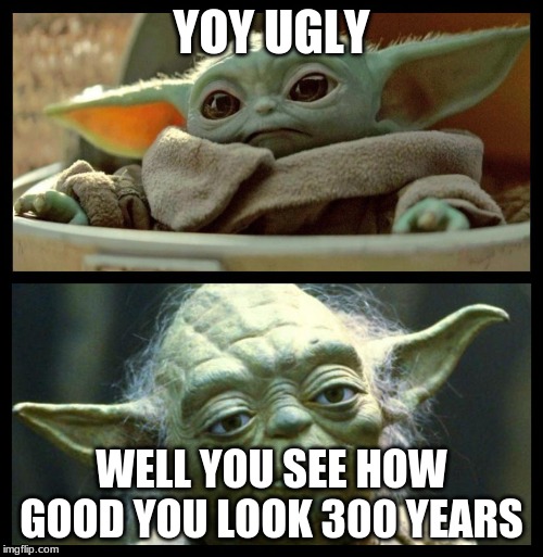 baby yoda | YOY UGLY; WELL YOU SEE HOW GOOD YOU LOOK 300 YEARS | image tagged in baby yoda | made w/ Imgflip meme maker