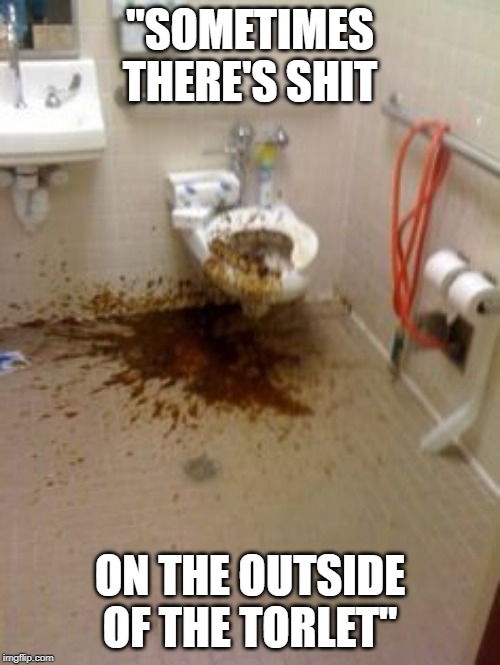 Mess |  "SOMETIMES THERE'S SHIT; ON THE OUTSIDE OF THE TORLET" | image tagged in mess | made w/ Imgflip meme maker