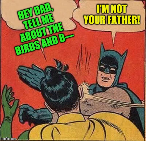 Batman Slapping Robin | HEY DAD, TELL ME ABOUT THE BIRDS AND B---; I'M NOT YOUR FATHER! | image tagged in memes,batman slapping robin | made w/ Imgflip meme maker