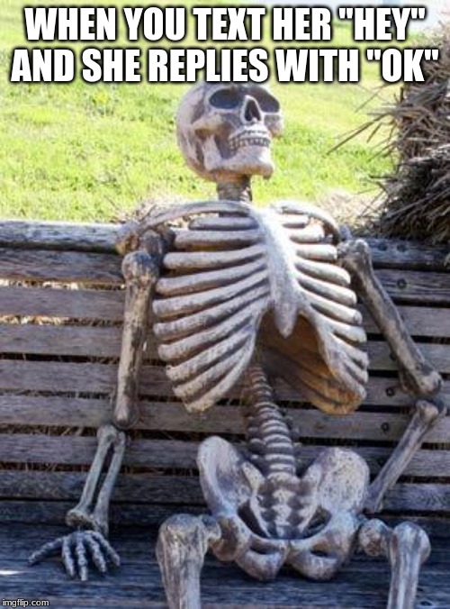 Waiting Skeleton Meme | WHEN YOU TEXT HER "HEY" AND SHE REPLIES WITH "OK" | image tagged in memes,waiting skeleton | made w/ Imgflip meme maker