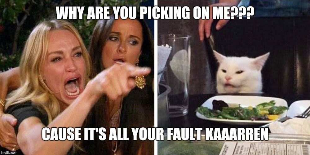 Smudge the cat | WHY ARE YOU PICKING ON ME??? CAUSE IT'S ALL YOUR FAULT KAAARREN | image tagged in smudge the cat | made w/ Imgflip meme maker