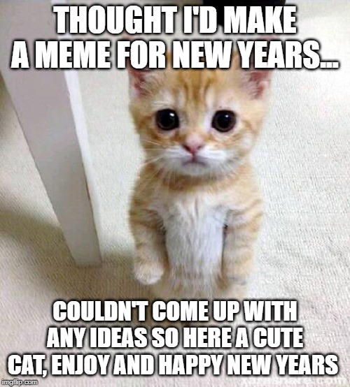 Cute Cat Meme | THOUGHT I'D MAKE A MEME FOR NEW YEARS... COULDN'T COME UP WITH ANY IDEAS SO HERE A CUTE CAT, ENJOY AND HAPPY NEW YEARS | image tagged in memes,cute cat | made w/ Imgflip meme maker