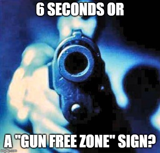 gun in face | 6 SECONDS OR; A "GUN FREE ZONE" SIGN? | image tagged in gun in face | made w/ Imgflip meme maker