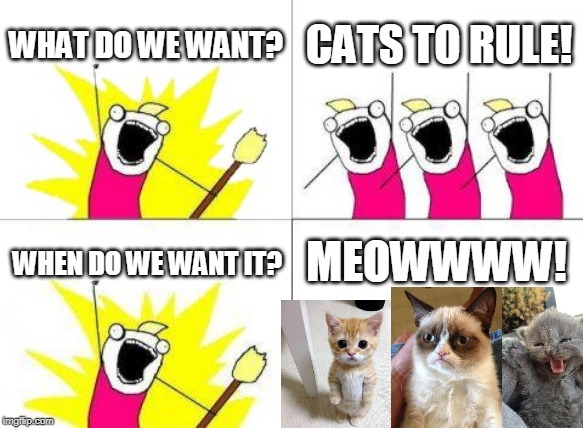 What Do We Want Meme | WHAT DO WE WANT? CATS TO RULE! MEOWWWW! WHEN DO WE WANT IT? | image tagged in memes,what do we want | made w/ Imgflip meme maker