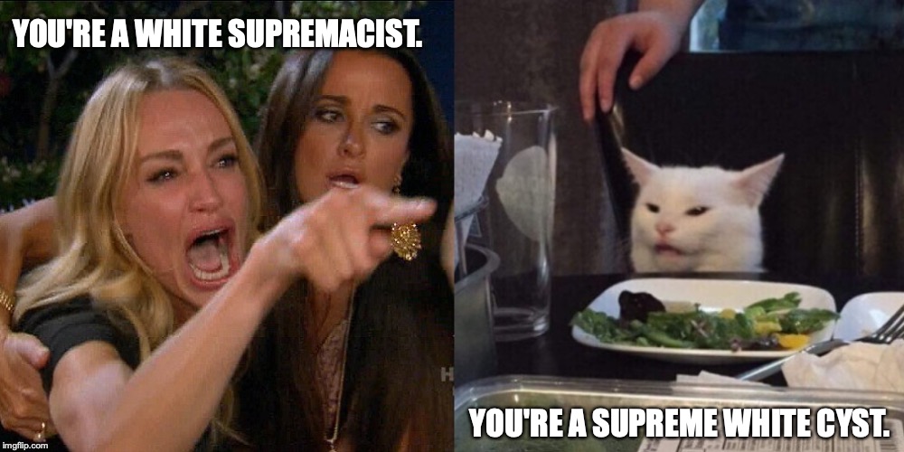 Woman yelling at cat | YOU'RE A WHITE SUPREMACIST. YOU'RE A SUPREME WHITE CYST. | image tagged in woman yelling at cat | made w/ Imgflip meme maker