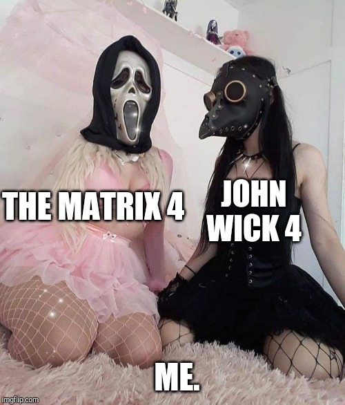 JOHN WICK 4; THE MATRIX 4; ME. | image tagged in the matrix,john wick | made w/ Imgflip meme maker